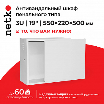 Netko Антивандальный Шкаф 3U пенального типа, (Ш*Г*В 550*220*500мм) 19"