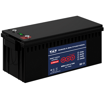 WBR MBLi 24-100 Аккумулятор