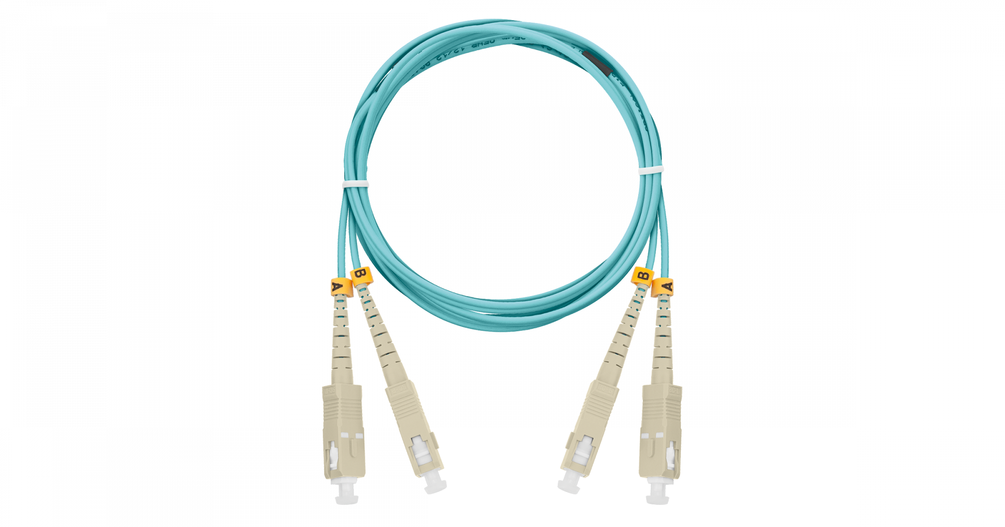 z2t6672b8gphcyswgml91zrz4wvcx4zv z2t6672b8gphcyswgml91zrz4wvcx4zv