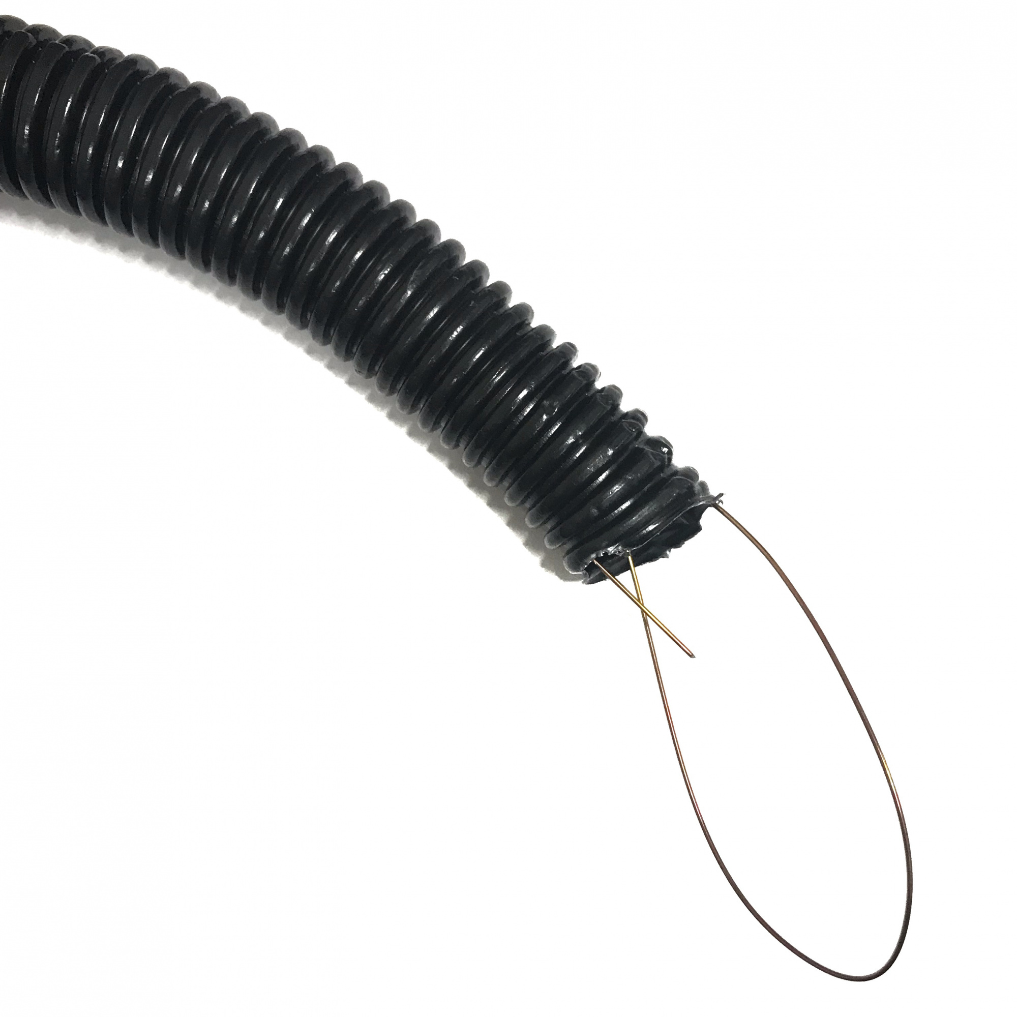 21zxwww6d4tfqziqplbbmw3x16gy1gif 21zxwww6d4tfqziqplbbmw3x16gy1gif