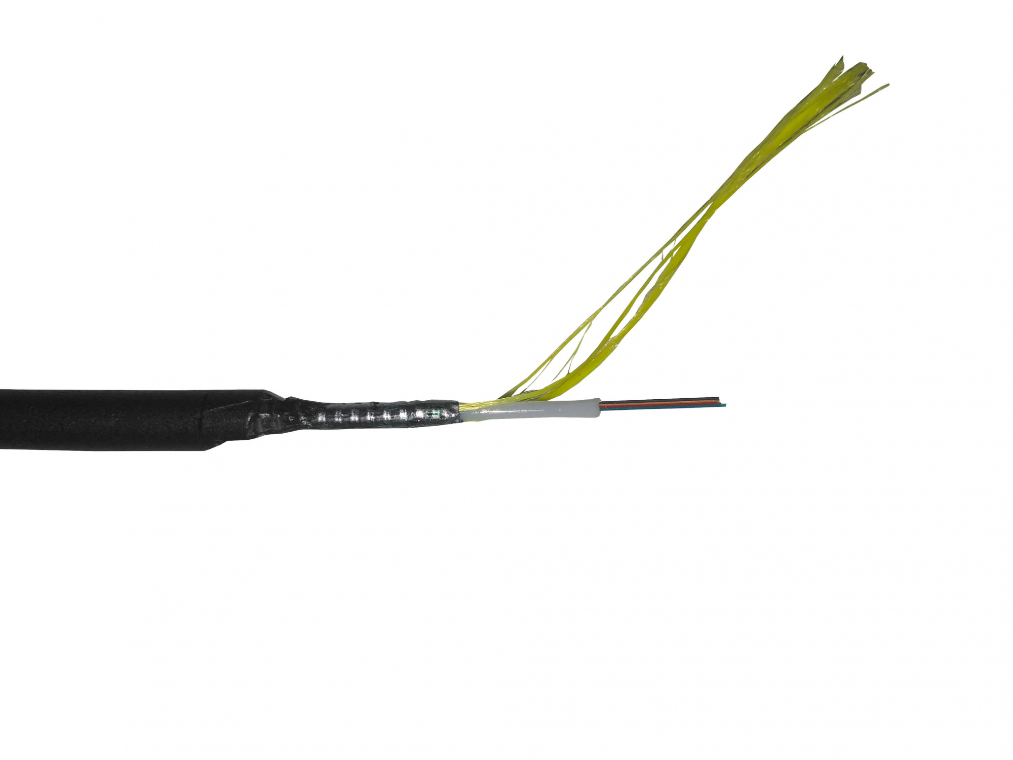 9u9ltvptbuf8tr1h37i40enwkvfaj983