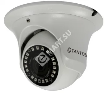 Tantos TSi-Ee50FP видеокамера IP