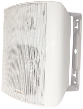 Tantos TSo-SW30k Громкоговоритель